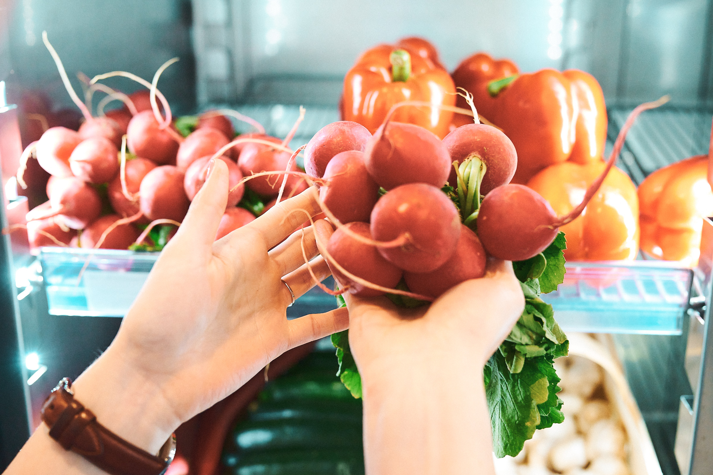 Hände halten Radieschen vor einem Kühlschrank